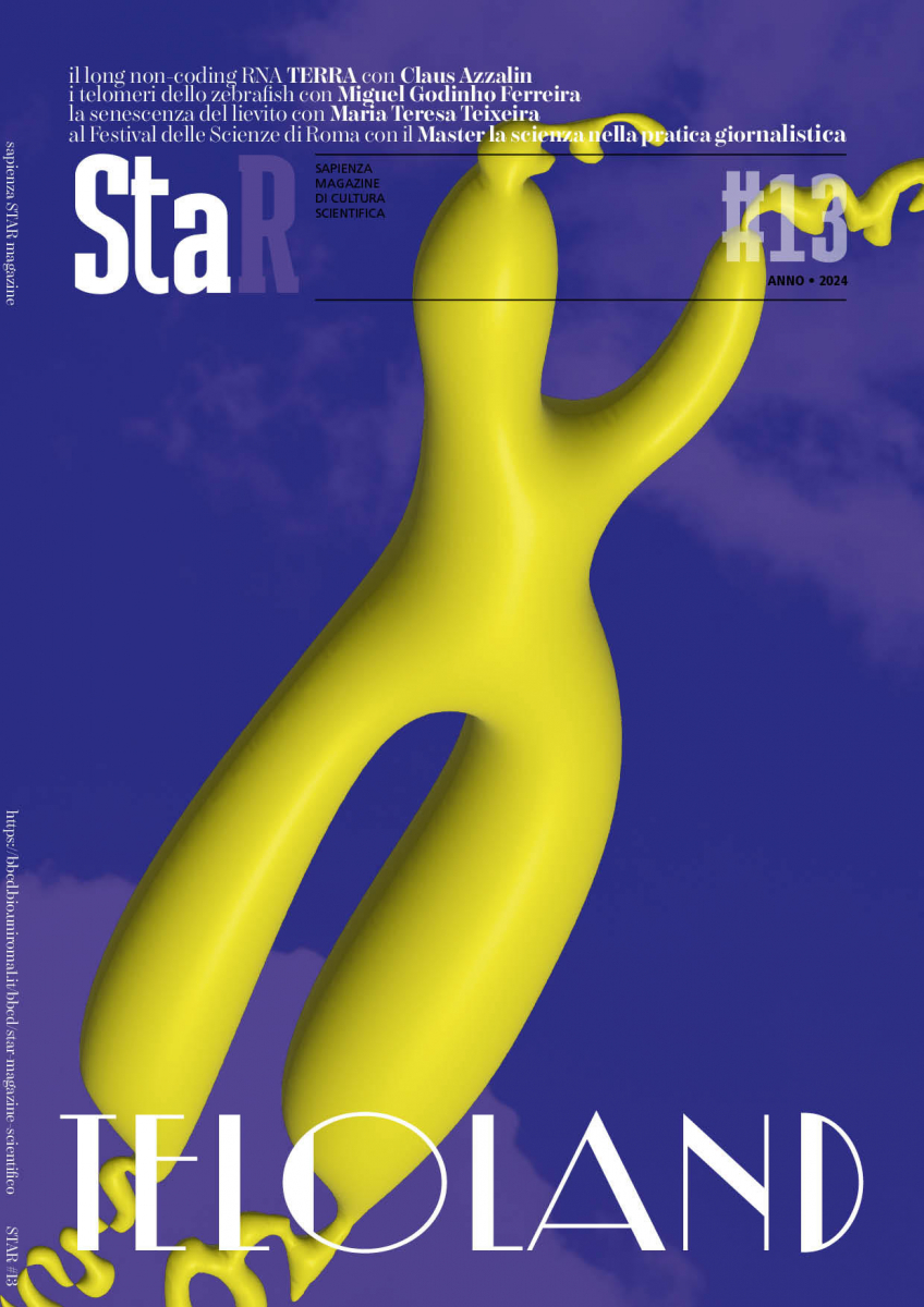 copertina rivista star 13