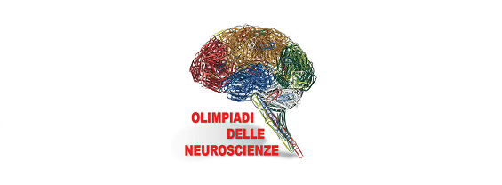 Logo Olimpiadi Neuroscienze 2024