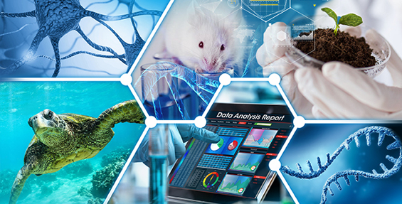 Benvenuti nel sito del Dipartimento di Biologia e Biotecnologie Charles Darwin - BBCD 