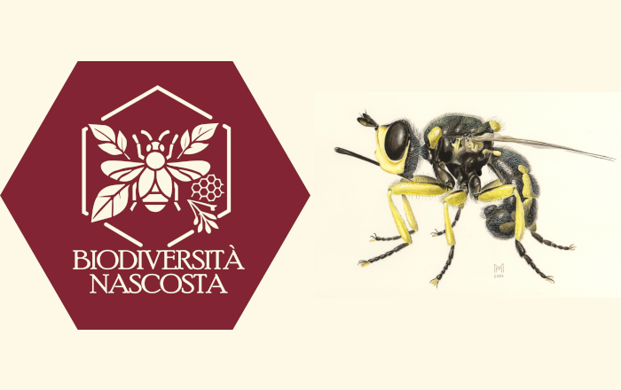 Immagine Biodiversità Nascosta