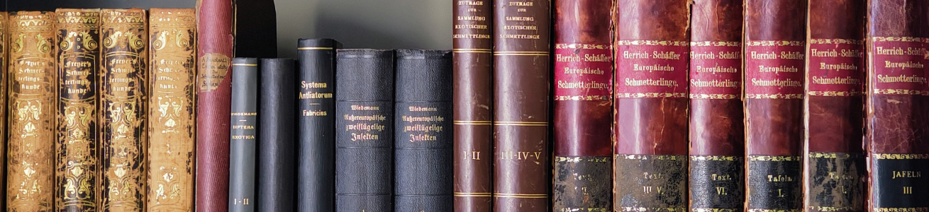 foto biblioteca darwin libri antichi